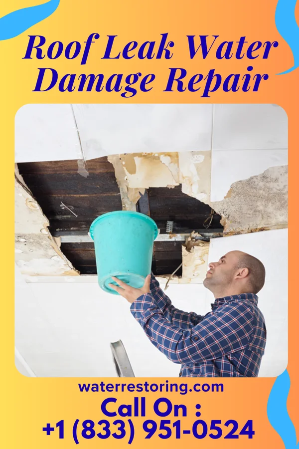 Roof Leak Water Damage Repair in Vero Beach, FL